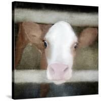 Out of the Fence-Kimberly Allen-Stretched Canvas