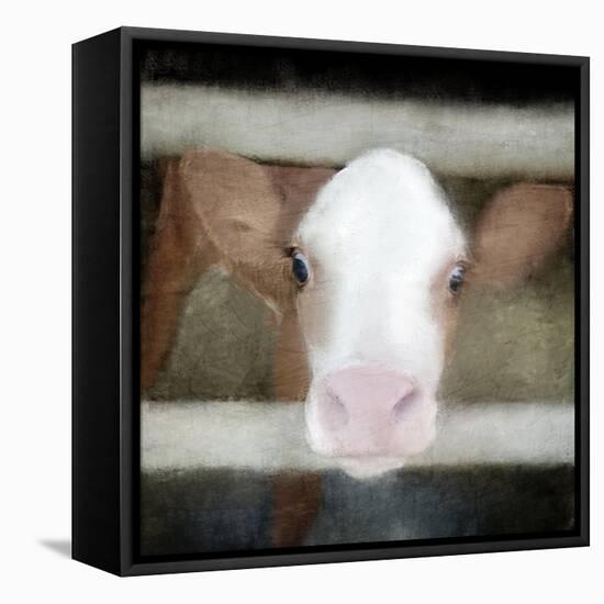 Out of the Fence-Kimberly Allen-Framed Stretched Canvas