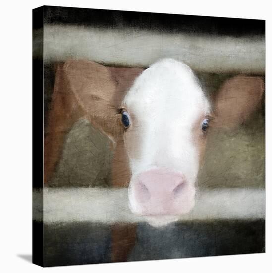 Out of the Fence-Kimberly Allen-Stretched Canvas