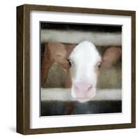 Out of the Fence-Kimberly Allen-Framed Art Print