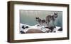 Out of the Forest-Russell Cobane-Framed Art Print