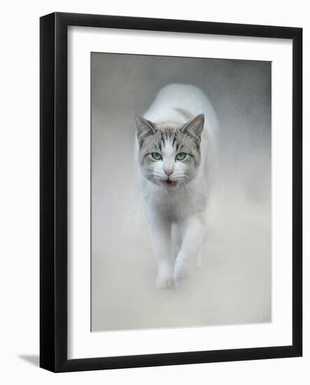 Out of the Mist-Jai Johnson-Framed Giclee Print