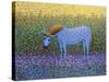 Out of the Pasture-James W. Johnson-Stretched Canvas