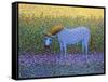 Out of the Pasture-James W. Johnson-Framed Stretched Canvas