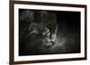 Out of the Shadows Black Leopard-Jai Johnson-Framed Giclee Print