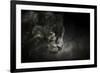 Out of the Shadows Black Leopard-Jai Johnson-Framed Giclee Print