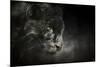 Out of the Shadows Black Leopard-Jai Johnson-Mounted Giclee Print