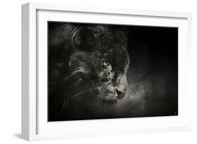 Out of the Shadows Black Leopard-Jai Johnson-Framed Giclee Print