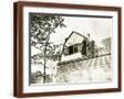 Brown Frame
