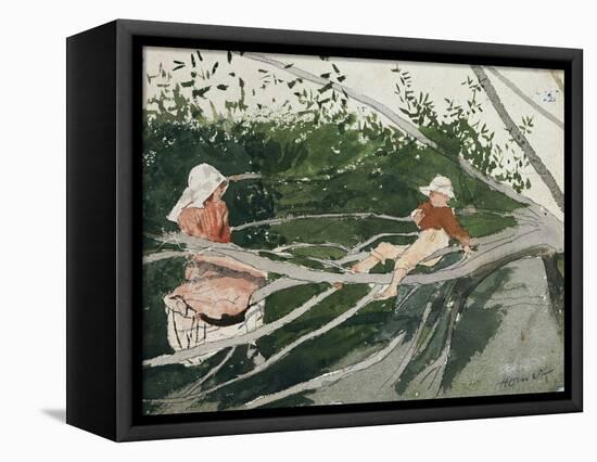 Out on a Limb-Winslow Homer-Framed Stretched Canvas