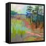 Out There-Jane Schmidt-Framed Stretched Canvas