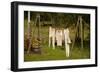 Out to Dry I-Philip Clayton-thompson-Framed Photographic Print