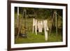 Out to Dry I-Philip Clayton-thompson-Framed Photographic Print