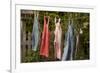 Out to Dry II-Philip Clayton-thompson-Framed Photographic Print