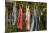 Out to Dry II-Philip Clayton-thompson-Mounted Photographic Print