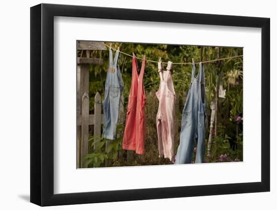 Out to Dry II-Philip Clayton-thompson-Framed Photographic Print