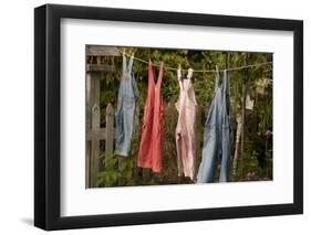 Out to Dry II-Philip Clayton-thompson-Framed Photographic Print