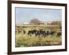 Out to Pasture II-Ethan Harper-Framed Art Print