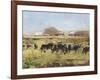 Out to Pasture II-Ethan Harper-Framed Art Print