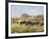 Out to Pasture II-Ethan Harper-Framed Art Print