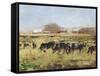 Out to Pasture II-Ethan Harper-Framed Stretched Canvas