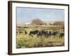 Out to Pasture II-Ethan Harper-Framed Art Print