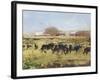 Out to Pasture II-Ethan Harper-Framed Art Print