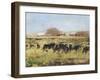 Out to Pasture II-Ethan Harper-Framed Art Print