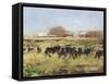 Out to Pasture II-Ethan Harper-Framed Stretched Canvas