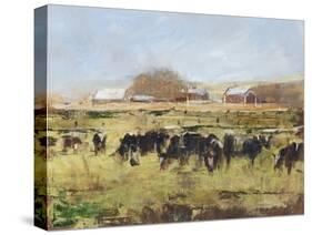 Out to Pasture II-Ethan Harper-Stretched Canvas