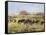 Out to Pasture II-Ethan Harper-Framed Stretched Canvas