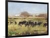 Out to Pasture II-Ethan Harper-Framed Art Print