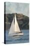 Out To Sea V2-Kimberly Allen-Stretched Canvas