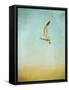 Out to Sea-Jai Johnson-Framed Stretched Canvas