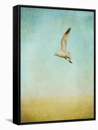 Out to Sea-Jai Johnson-Framed Stretched Canvas