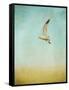 Out to Sea-Jai Johnson-Framed Stretched Canvas