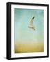 Out to Sea-Jai Johnson-Framed Giclee Print