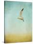 Out to Sea-Jai Johnson-Stretched Canvas