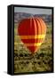 Outback Hot Air Ballooning-null-Framed Stretched Canvas