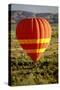 Outback Hot Air Ballooning-null-Stretched Canvas