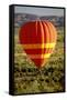 Outback Hot Air Ballooning-null-Framed Stretched Canvas