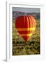 Outback Hot Air Ballooning-null-Framed Photographic Print