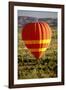 Outback Hot Air Ballooning-null-Framed Photographic Print