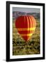 Outback Hot Air Ballooning-null-Framed Photographic Print