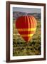 Outback Hot Air Ballooning-null-Framed Photographic Print