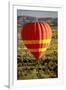 Outback Hot Air Ballooning-null-Framed Photographic Print