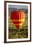 Outback Hot Air Ballooning-null-Framed Photographic Print