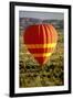 Outback Hot Air Ballooning-null-Framed Photographic Print