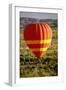 Outback Hot Air Ballooning-null-Framed Photographic Print