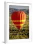 Outback Hot Air Ballooning-null-Framed Photographic Print